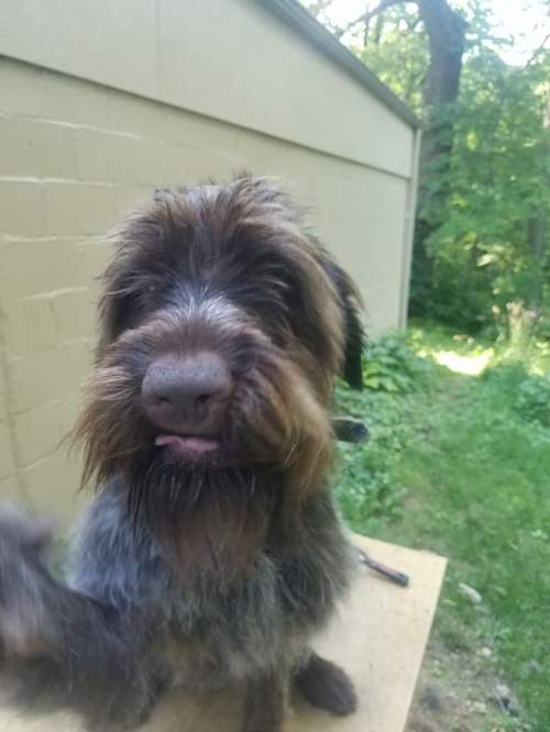 19424221_1587793751271554_3945492803886184655_n