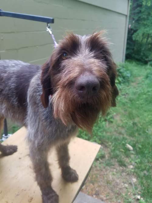 19437789_1587793621271567_9203918130383255559_n