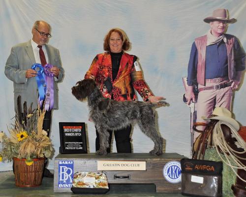 Nominee Delegate Pic