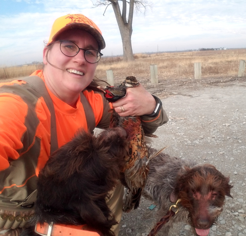 Charity Chief BB quail rooster