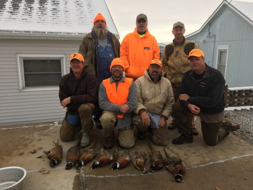 Charles Neb Pheas 2018