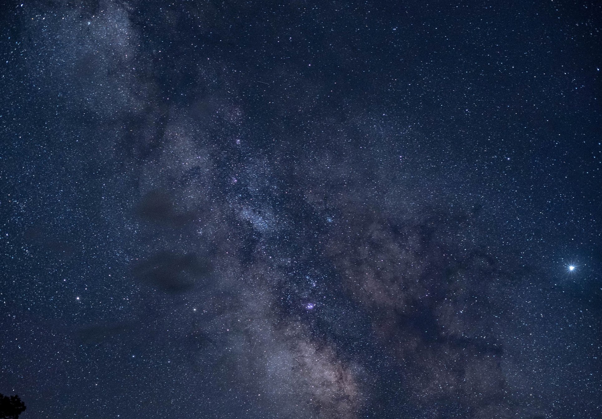 Brenda Allison - Sandhills Stars