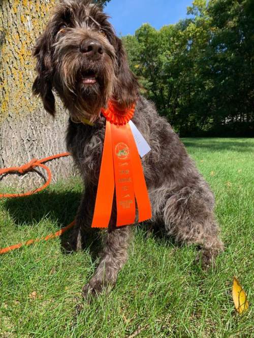 70720925_10157685395492384_2667448417671708672_n