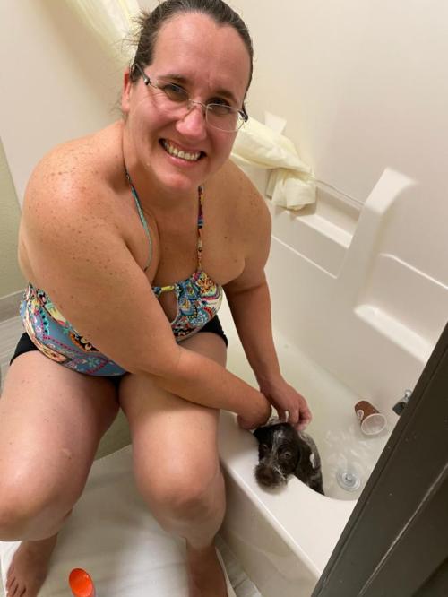 Charity Upchurch Wirehaired Pointing Griffon bath