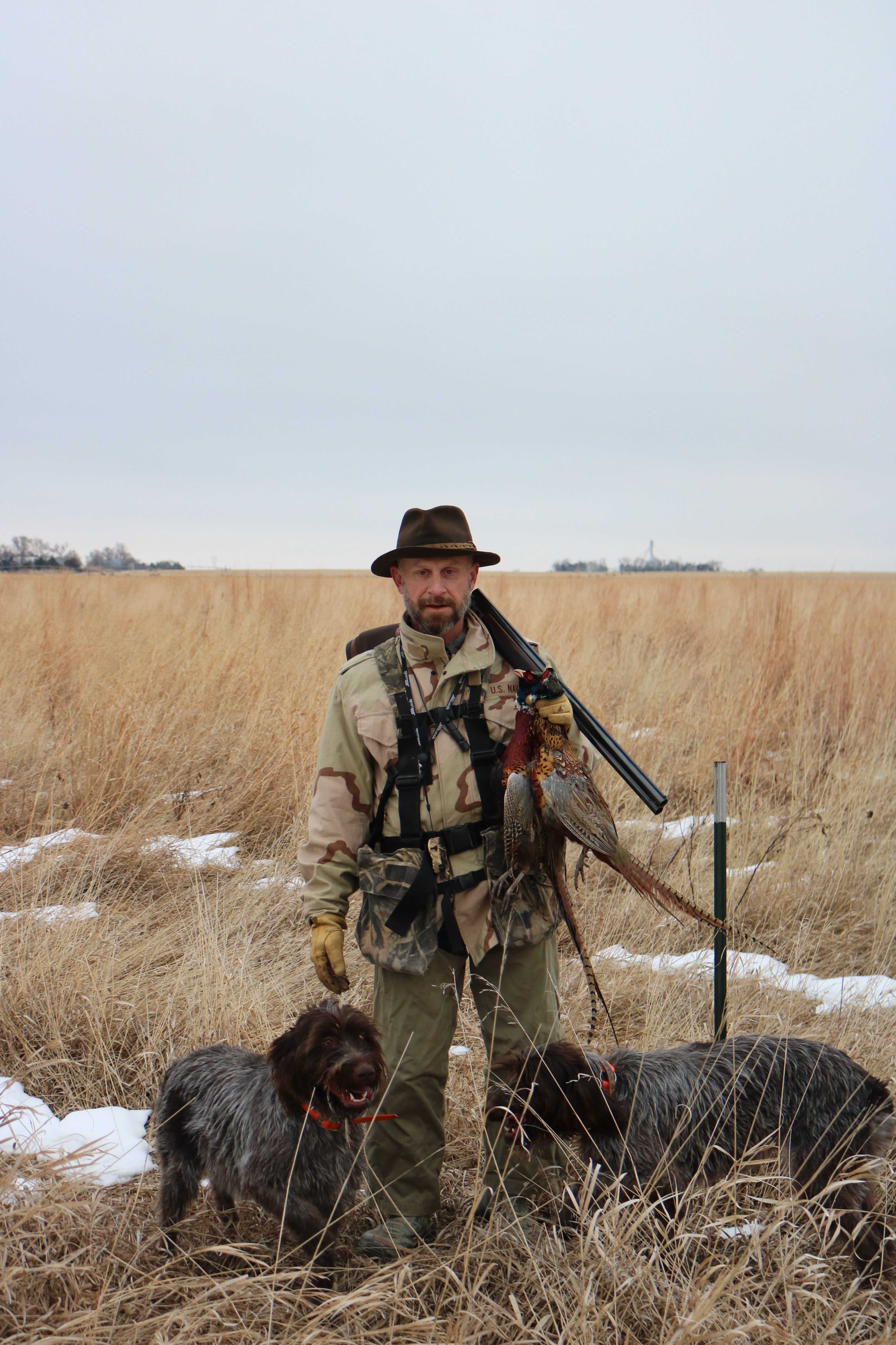 Wirehaired Pointing Griffon Nebraska Pheasant