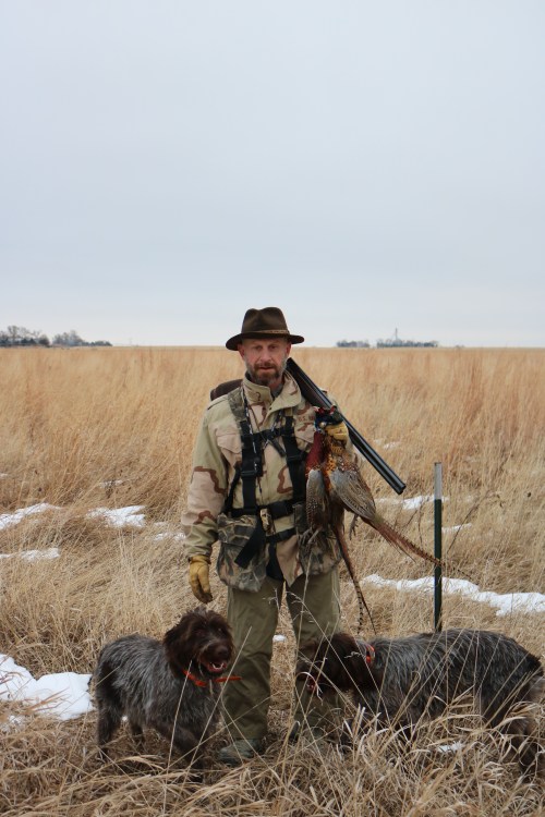 Wirehaired Pointing Griffon Nebraska Pheasant