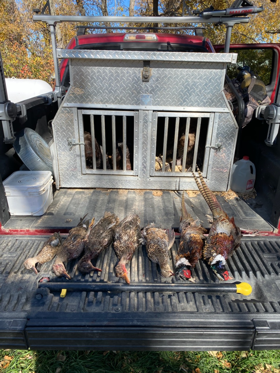 NoDak mixed back Oct 12