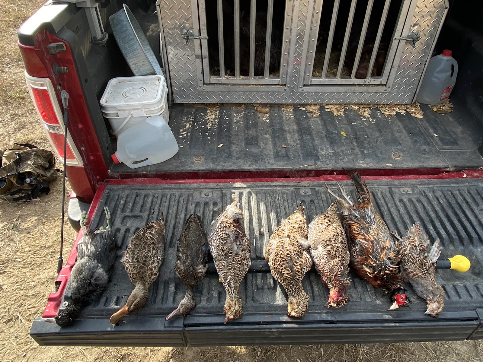 NoDak mixed bag Oct 11