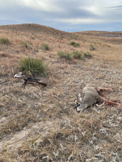 Sandhills Muley 2020