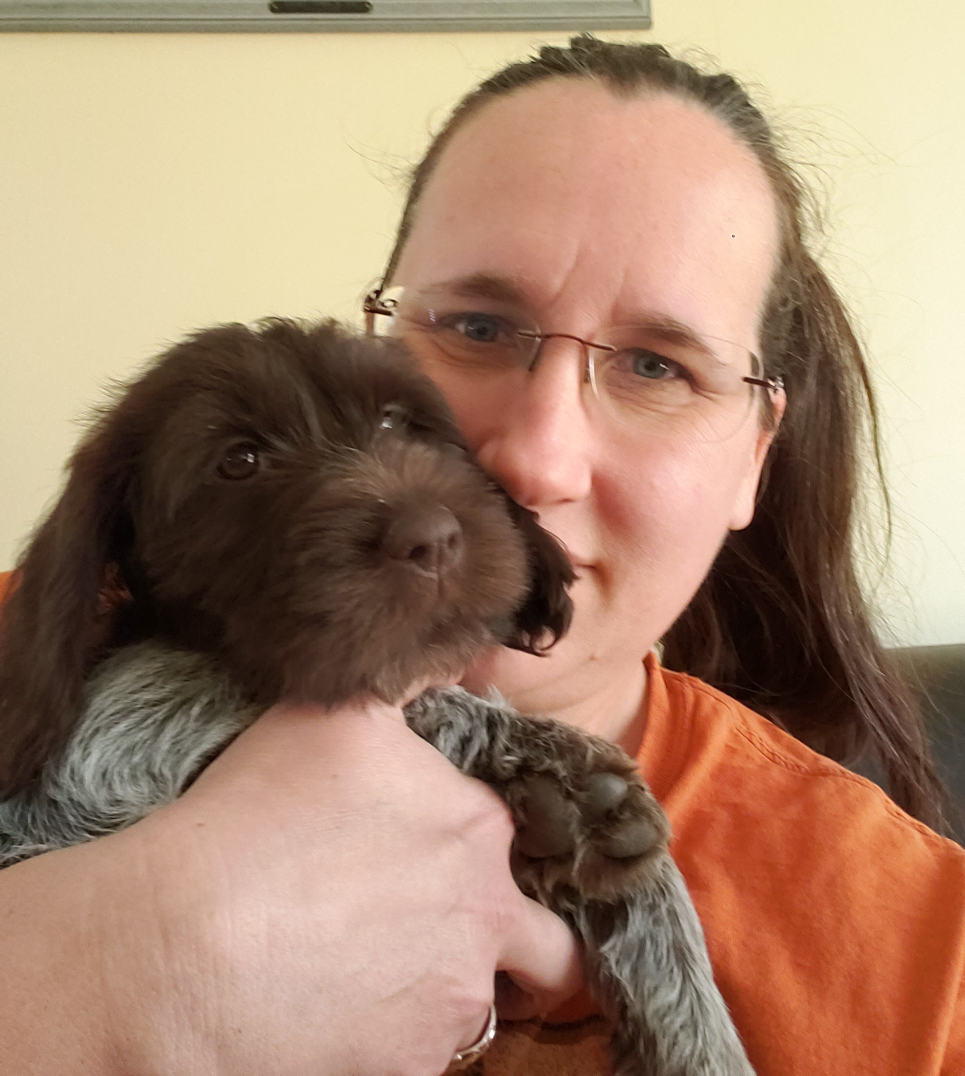 Charity Upchurch Wirehaired Pointing Griffon Puppies