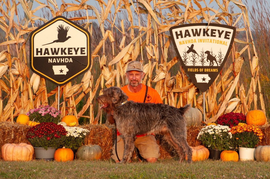 NAVHDA Versatile Champion Wirehaired Pointing Griffon